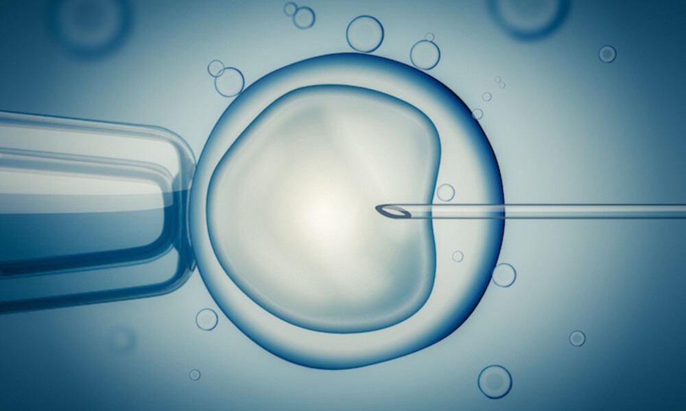 What is In Vitro Fertilization (IVF)?