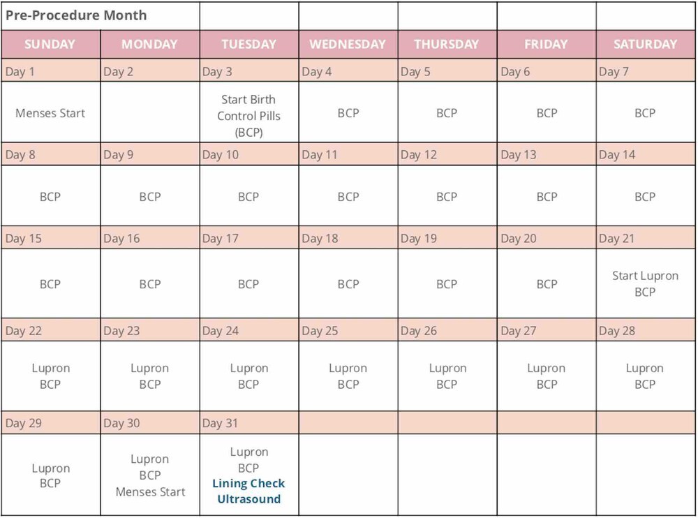 Ivf Calendar Monthly Treatment Calendar Fet Etsy Printable Ivf Calendar Calendar Template 2023