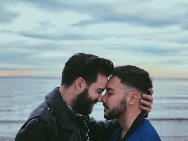 ConceiveAbilities - Surrogacy for Gay Couples: How to Choose the Genetic Father