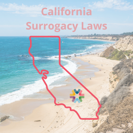 ConceiveAbilities - California Surrogacy Laws