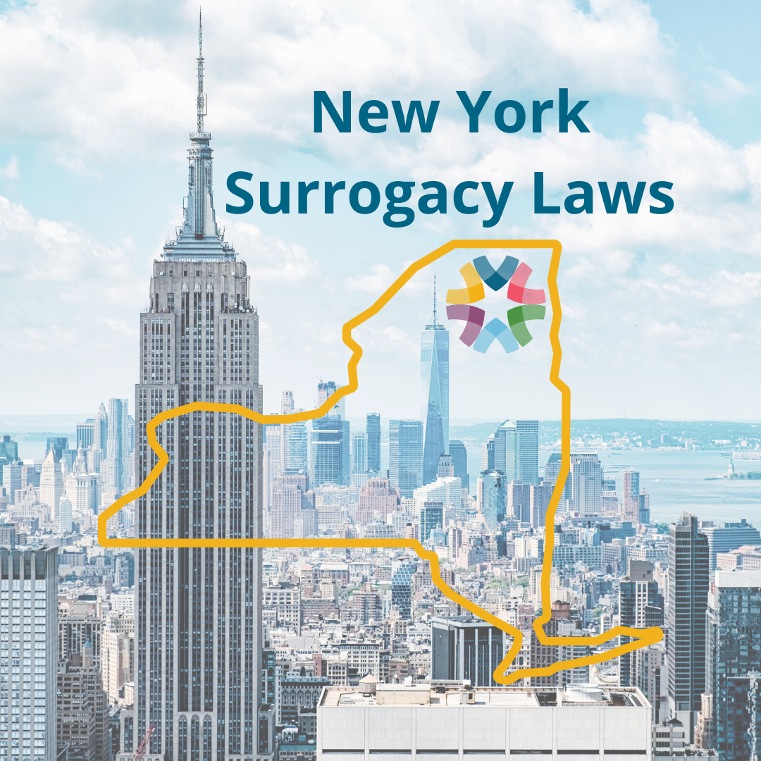 A Comprehensive Guide To Us Surrogacy Laws Conceiveabilities